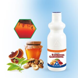 Kombucha Luz Alfa